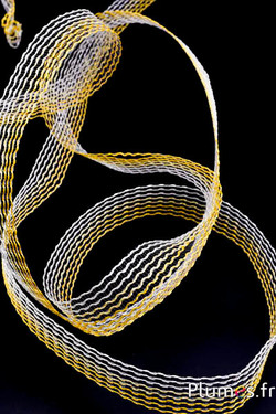 Nastro - larghezza 25 mm - bianco-giallo-zafferano